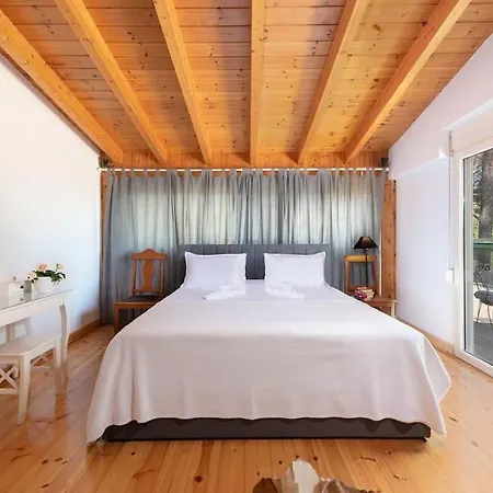 Dom wakacyjny 4 Bd Luxurious With Swimming Pool