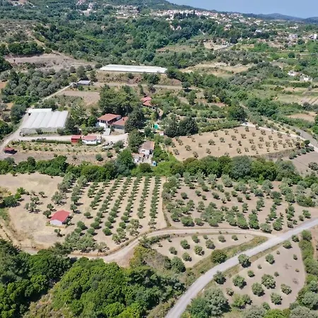 4 Bd Luxurious With Swimming Pool Holiday home