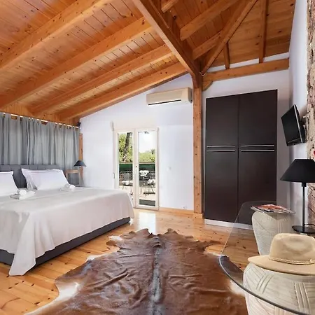 度假居 4 Bd Luxurious With Swimming Pool Sálakos