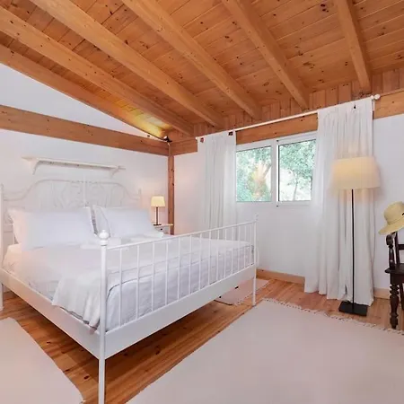 4 Bd Luxurious With Swimming Pool Sálakos